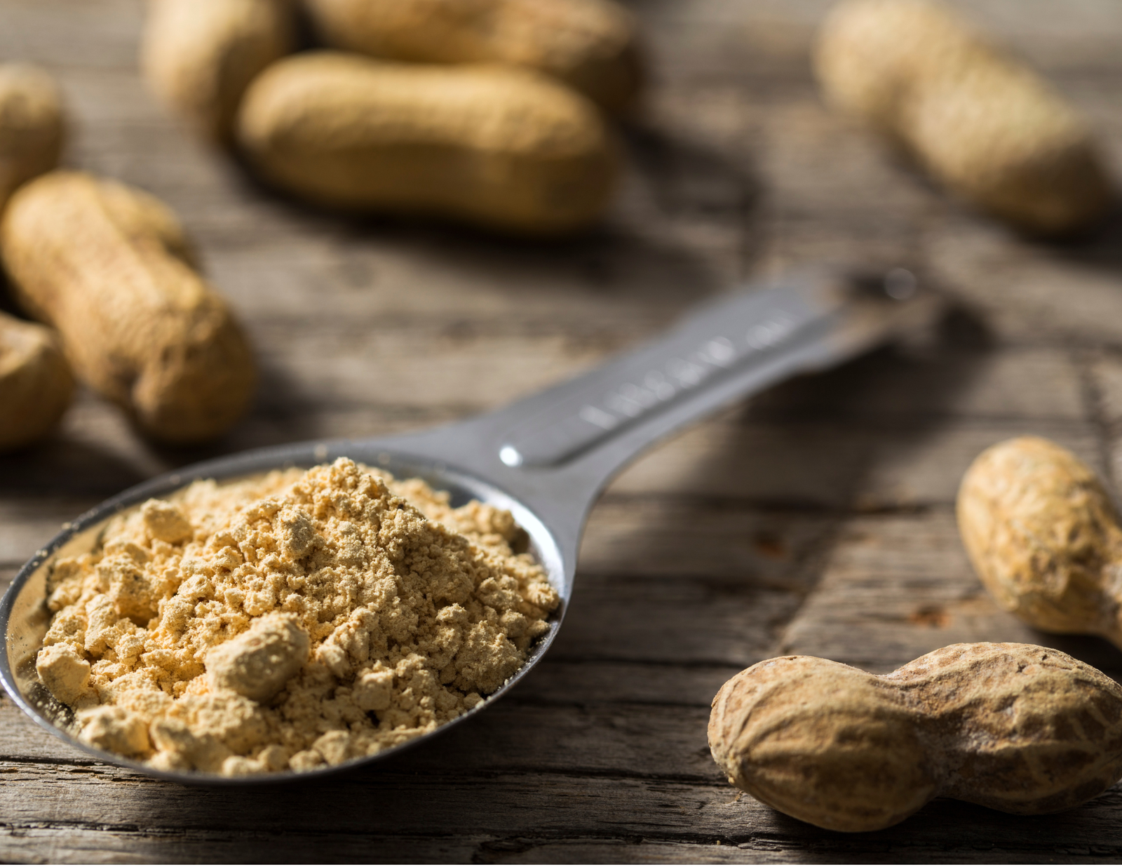 Farina di arachidi tostata degrassata fitness Quarks